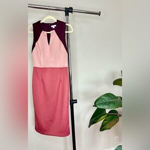 New York & company pink & maroon color block sheath dress